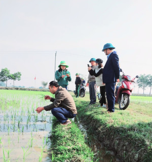 Lãnh đạo xã Hồng Thành tiến hành  thăm đồng đầu xuân Quỹ Mão -  2023